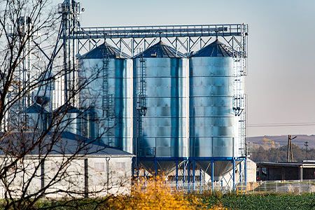 GlobalData: Biofuel production to bolster energy transition