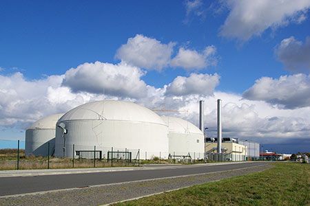 Palisade Real Assets acquires Malaby Biogas and launches BioticNRG