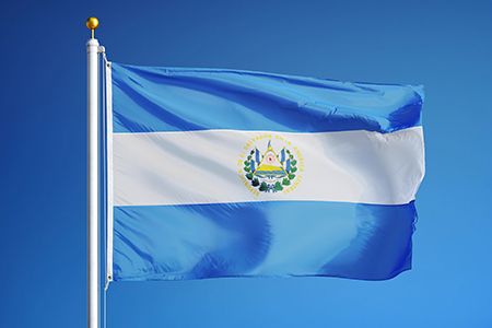 Neoen reaches financial close for two solar farm batteries in El Salvador