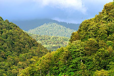 The role of renewable liquid gas in a secure and emissions-free future