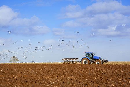 Vallourec supports Vertsun in agrophotovoltaics