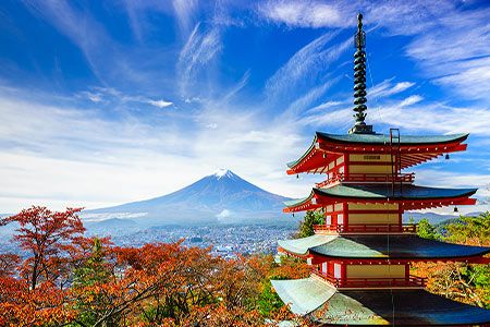 WELTEC BIOPOWER commissions biogas plant in Japan