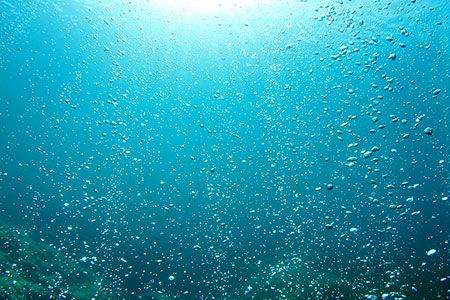 Monitoring buoy concludes wildlife research off Holyhead coast