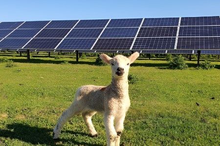 RES welcomes consent for Magheralin solar farm