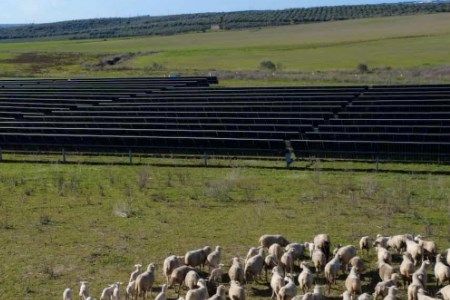 Fundici solar farm energised and commissioned in Spain