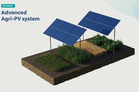 RWE awarded three agri-PV projects in Italian auction