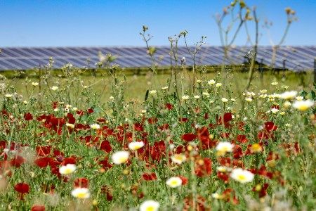 BayWa r.e. sells UK solar portfolio to Capital Dynamics