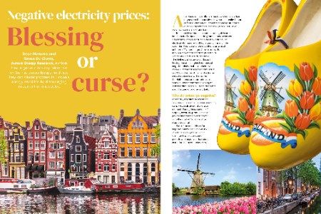 Negative electricity prices: Blessing or curse?