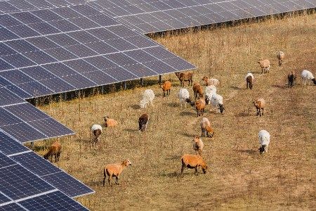 Sonnedix starts operations of its 40 MW solar photovoltaic project in the UK