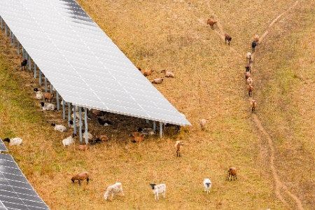 GreenGo obtains approval for agrivoltaic project in Italy