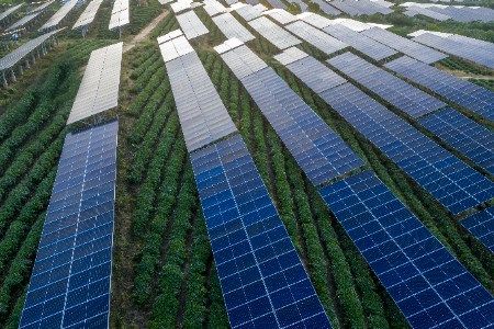 L&B Partners advises NextEnergy Capital on €93 million financing for agrivoltaic plant