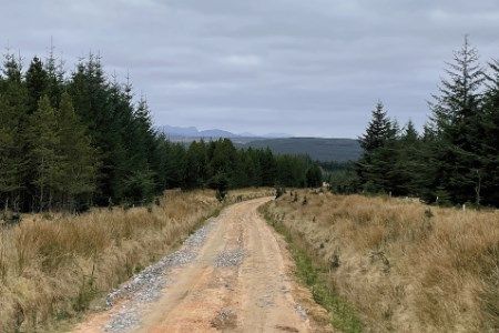 Low Carbon submits planning application for Forsinain Forest wind farm
