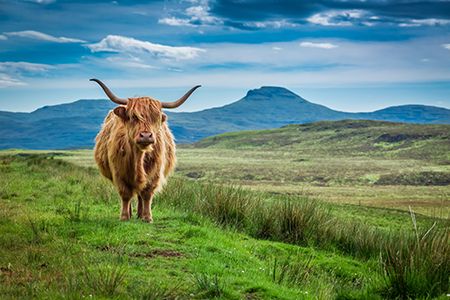Success for MYTILINEOS’ energy storage project in Scotland
