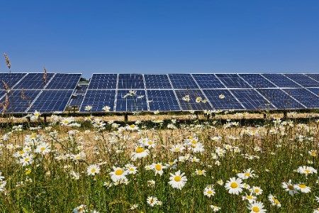 RES submits Steeple renewables project to the planning inspectorate