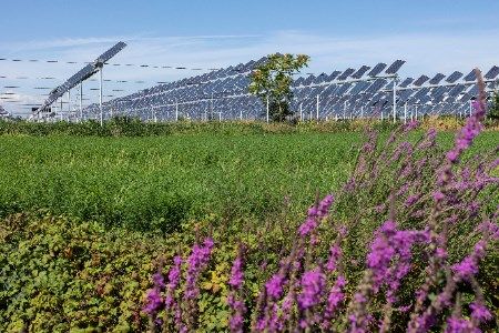 Cero Generation’s 48 MWp solar PV project goes live