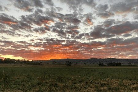 Tilt Renewables wind farm proposal to be supported by Capacity Investment Scheme